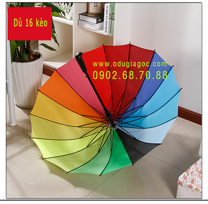 Cấu trúc chung Ô dù cầm tay cán thẳng