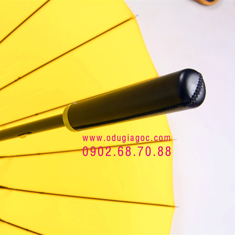 Giới thiệu về công ty