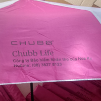 du-2-tang-chong-lat-gap-3-du-gap-2-du-gap-3-du-2-tang-chong-lat-1-chieu